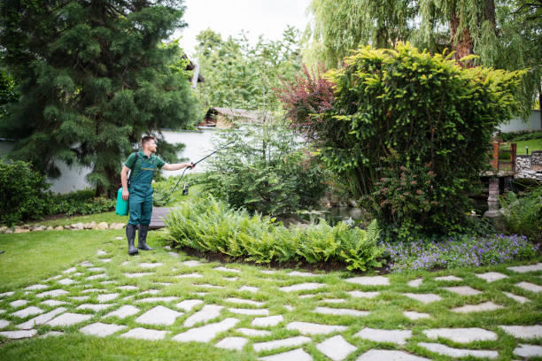 Best Affordable Pest Control Services  in Turpin Hills, OH