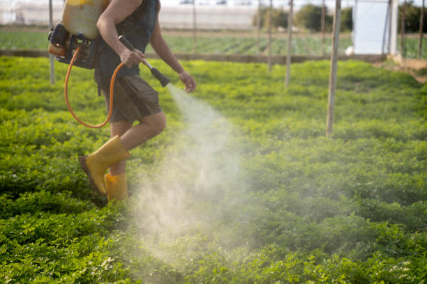 Best Pest Removal Services  in Turpin Hills, OH
