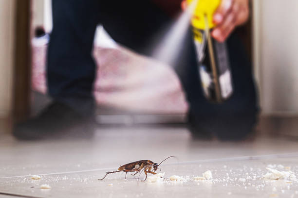 Trusted Turpin Hills, OH Pest Control Experts