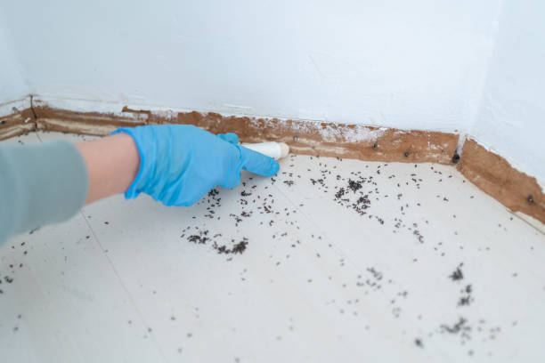 Best Bed Bug Extermination  in Turpin Hills, OH
